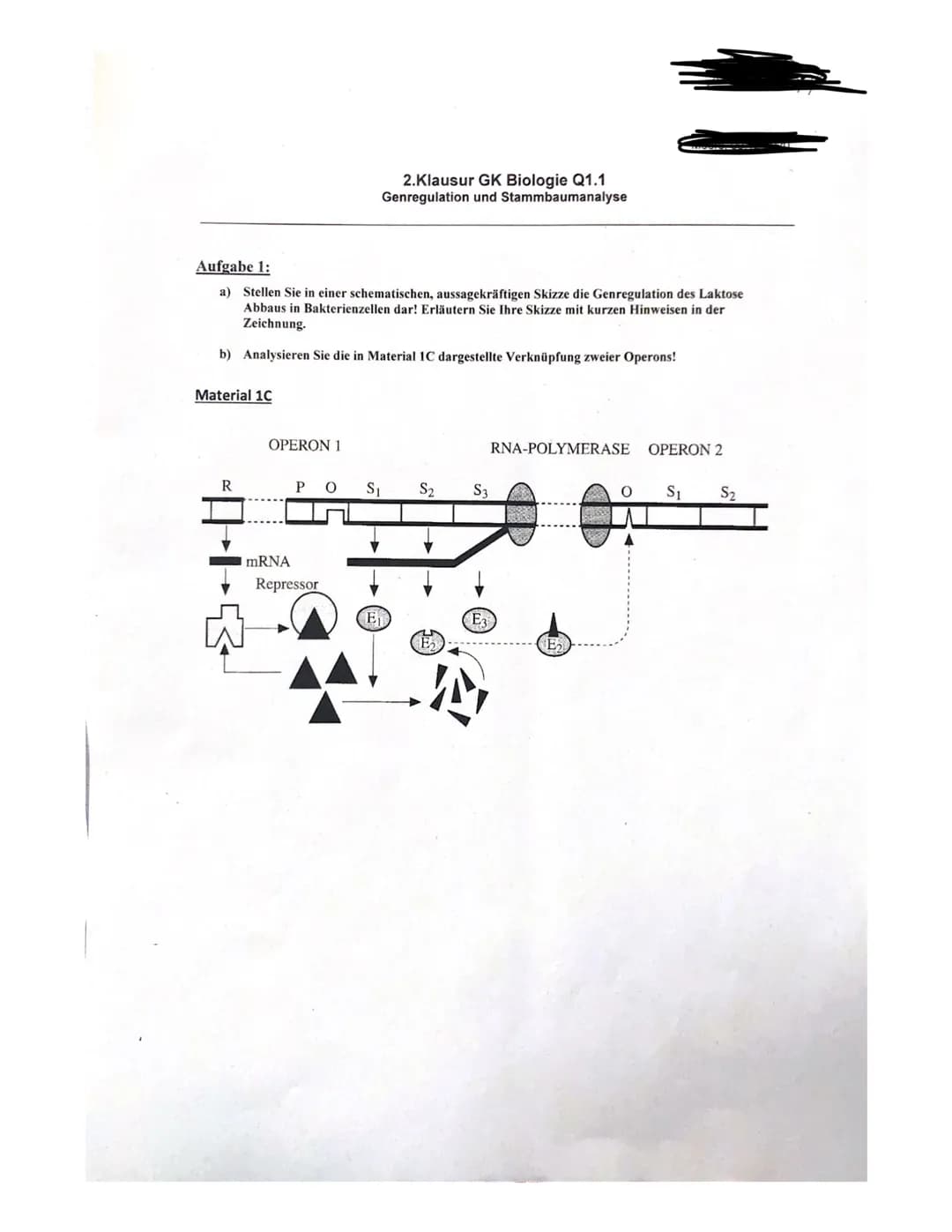 1.0)
gen
ist inaktiv
bereitgestellt,
Repressor
von Regulator in die zelle (d. Permease)
Laktose hommt
2. Klausor GU Biologie Q1. am 9.12.20
