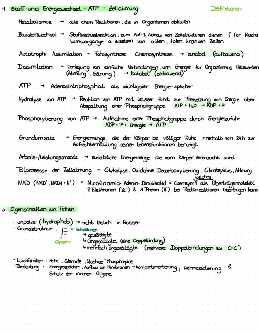 3. ATP
→
- Lebewesen sind aus Zellen aufgebaut
- Einzeller (wie Bakterien, Euglena Pantoffeltier,....) bestehen aus 1 Zelle, die alle Lebens