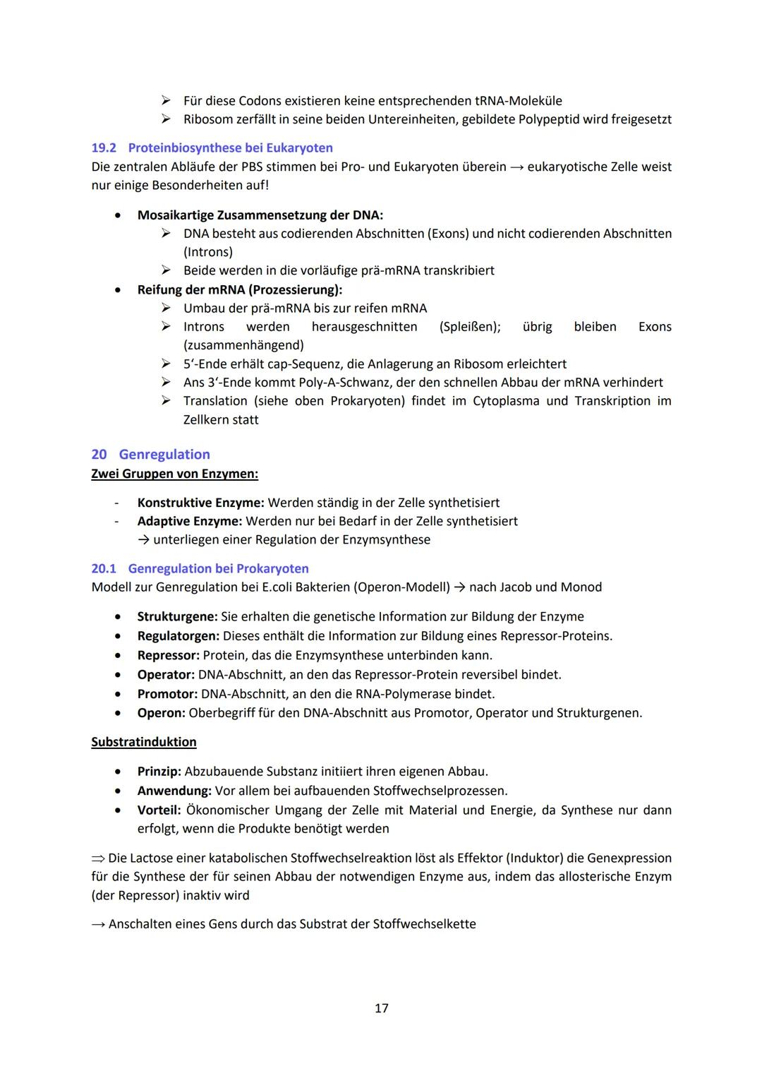 Biologie LK Lernzettel Abitur
1 Biologische Grundlagen
1.1 Unterschied von Eukaryoten und Prokaryoten
Eukaryoten (Euzyte)
Beispiel
Größe
Zel