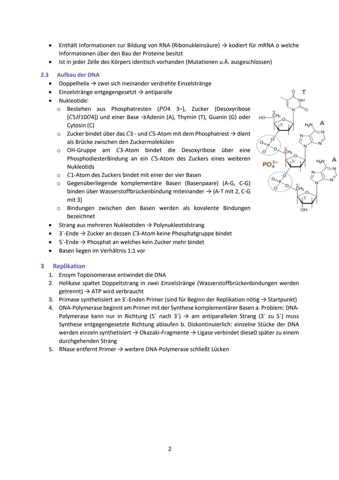 Biologie LK Lernzettel Abitur
1 Biologische Grundlagen
1.1 Unterschied von Eukaryoten und Prokaryoten
Eukaryoten (Euzyte)
Beispiel
Größe
Zel