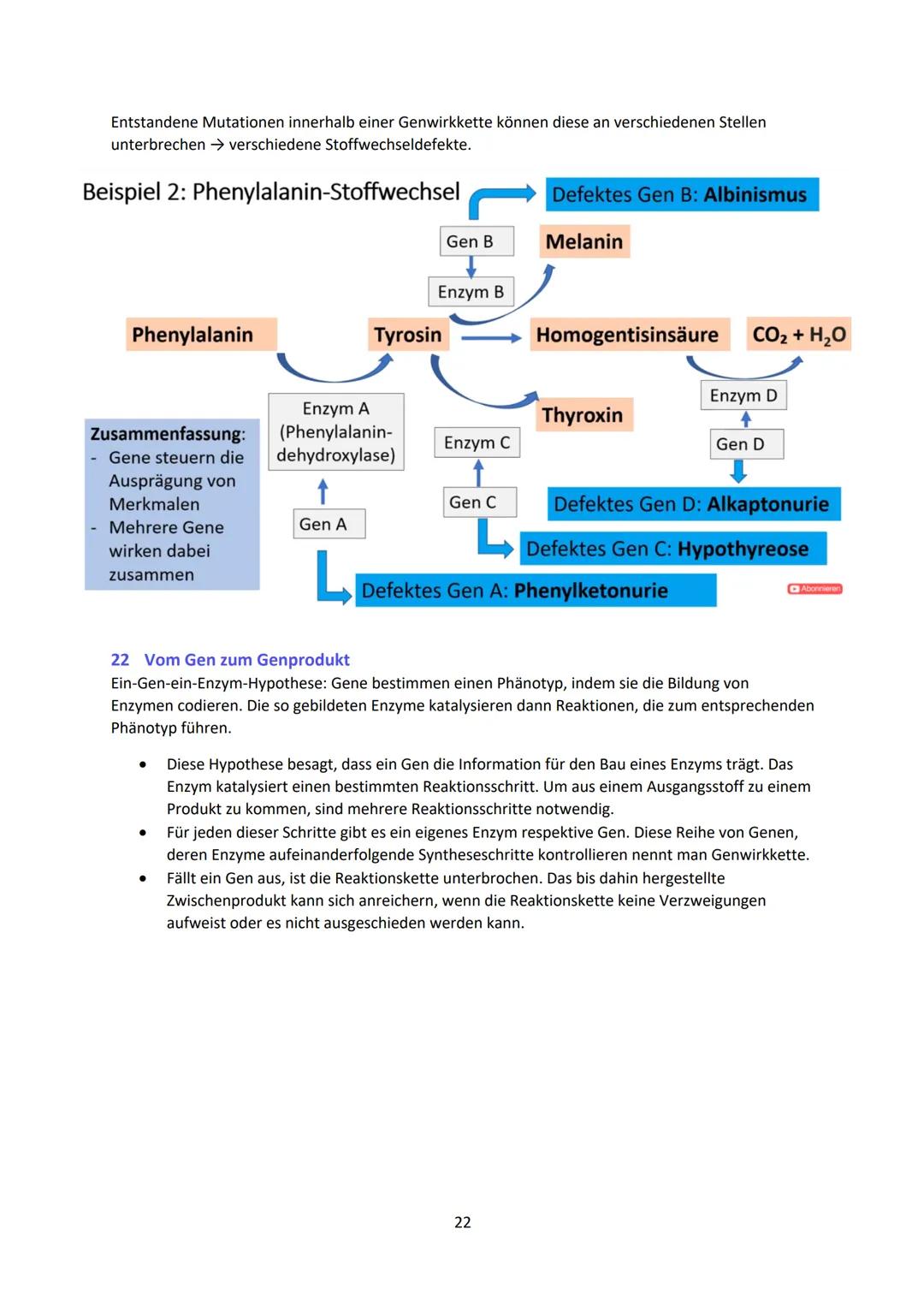 Biologie LK Lernzettel Abitur
1 Biologische Grundlagen
1.1 Unterschied von Eukaryoten und Prokaryoten
Eukaryoten (Euzyte)
Beispiel
Größe
Zel