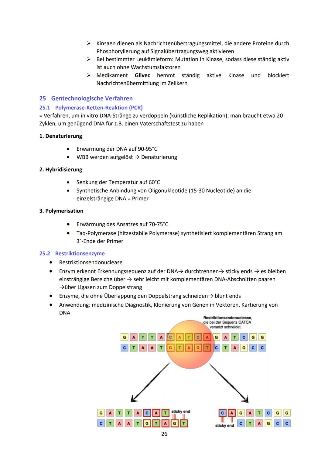 Biologie LK Lernzettel Abitur
1 Biologische Grundlagen
1.1 Unterschied von Eukaryoten und Prokaryoten
Eukaryoten (Euzyte)
Beispiel
Größe
Zel