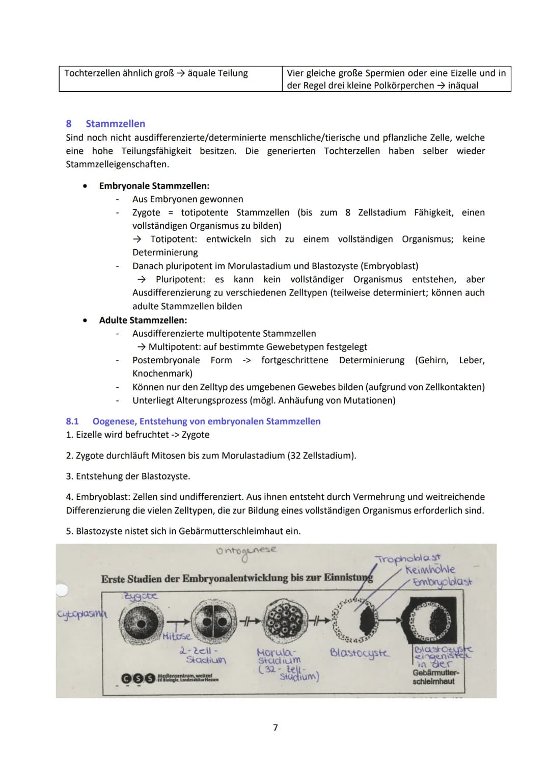 Biologie LK Lernzettel Abitur
1 Biologische Grundlagen
1.1 Unterschied von Eukaryoten und Prokaryoten
Eukaryoten (Euzyte)
Beispiel
Größe
Zel