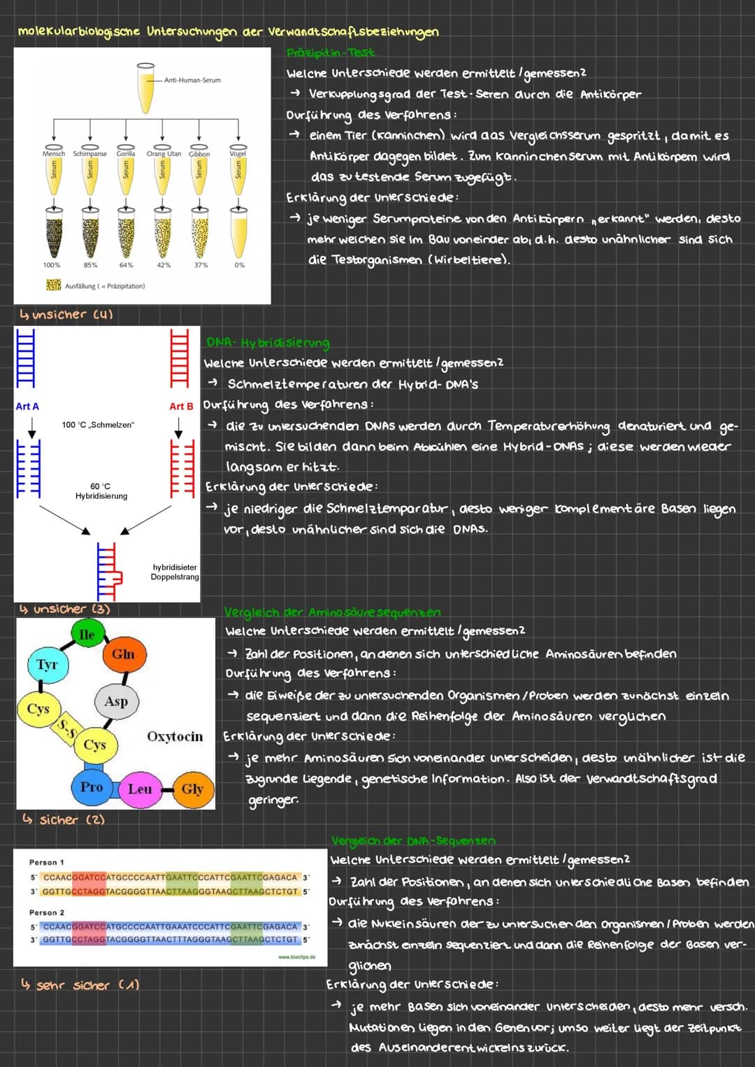 molekularbiologische Untersuchungen der Verwandtschaftsbeziehungen
Präzipitin-Test
Art A
-------
O
Mensch Schimpanse Gorilla Orang Utan
100%