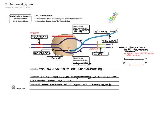 Know Transkription  thumbnail