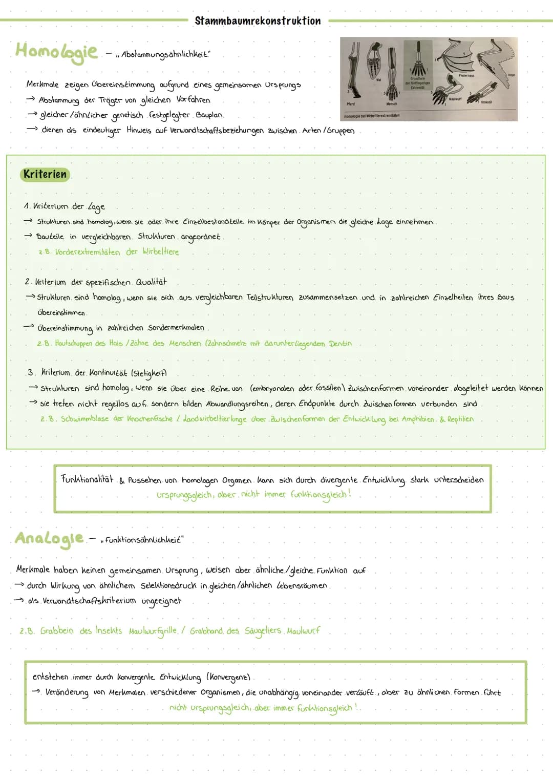 Art begriff
1. morphologischer Artbegriff. (Carl von Linné.)
→wesentliche Merkmale gemeinsam
→ äußeres Erscheinungsbild
2. biologischer Artb