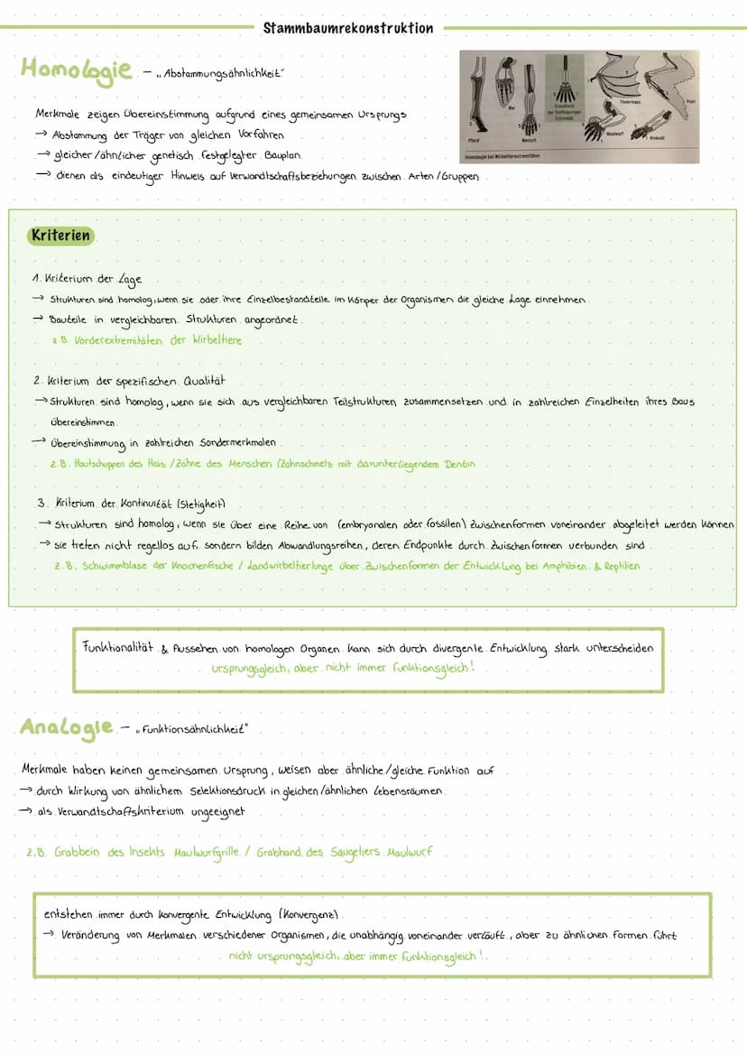 Art begriff
1. morphologischer Artbegriff. (Carl von Linné.)
→wesentliche Merkmale gemeinsam
→ äußeres Erscheinungsbild
2. biologischer Artb