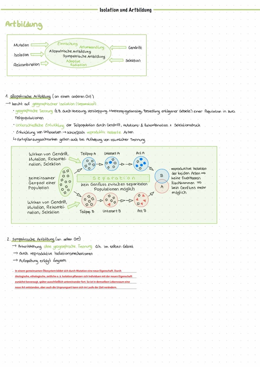 Art begriff
1. morphologischer Artbegriff. (Carl von Linné.)
→wesentliche Merkmale gemeinsam
→ äußeres Erscheinungsbild
2. biologischer Artb