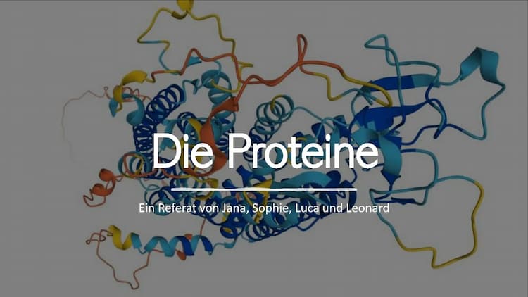 Know  Die Proteine  thumbnail