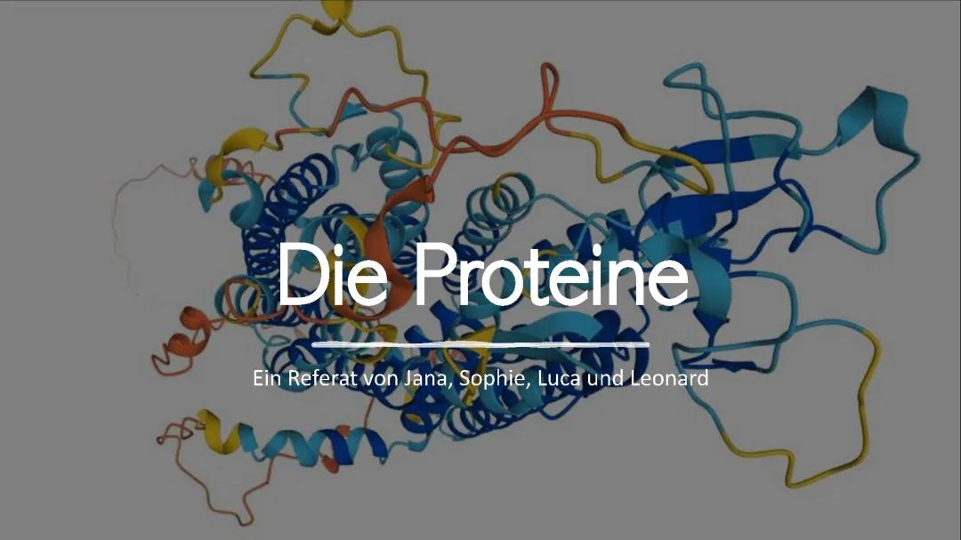 Proteine einfach erklärt: Aufbau, Funktionen und Aminosäuren für Kinder