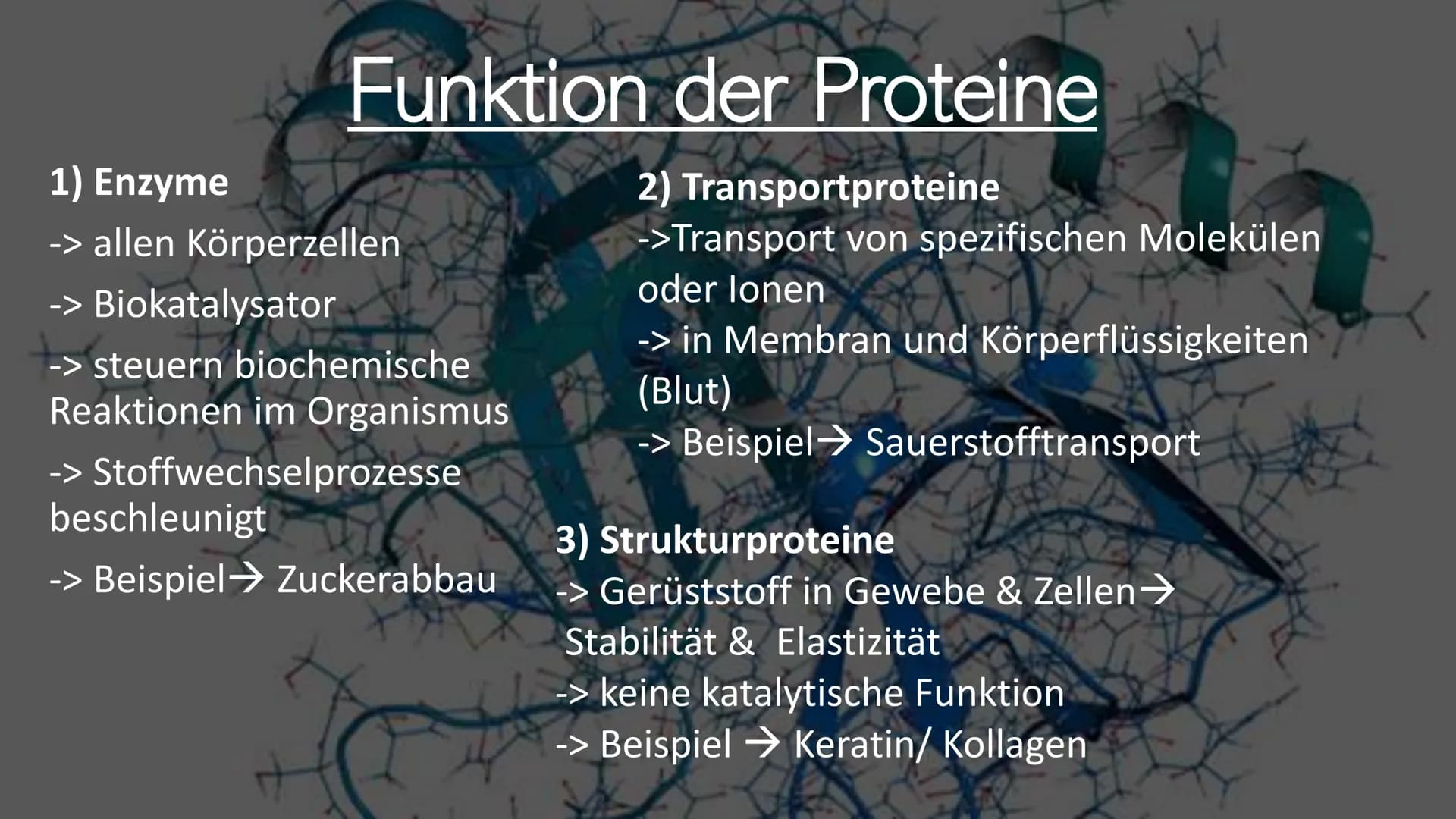 300
Die Proteine
2
Ein Referat von Jana, Sophie, Luca und Leonard the
Was euch heute erwartet
Was ist eine
Aminosäure?
Was sind Proteine?
Au