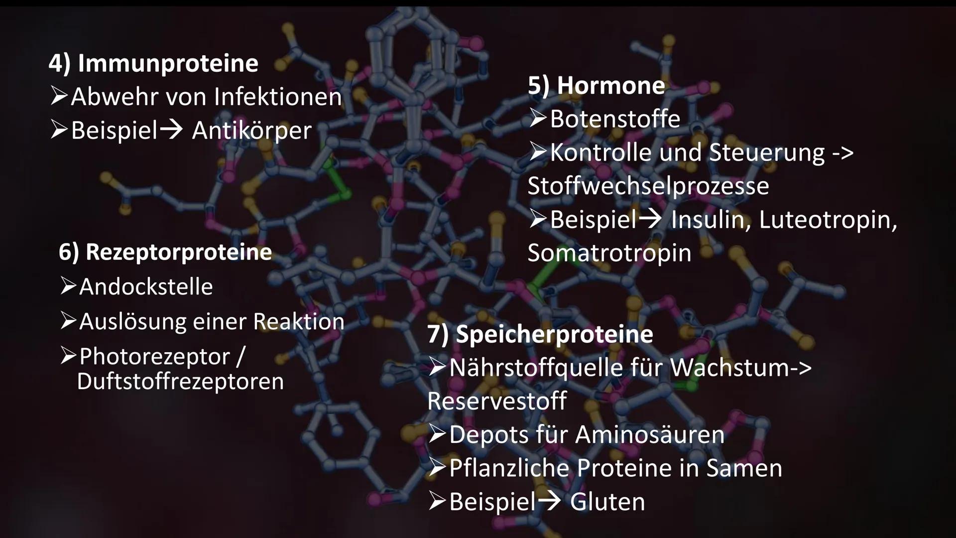 300
Die Proteine
2
Ein Referat von Jana, Sophie, Luca und Leonard the
Was euch heute erwartet
Was ist eine
Aminosäure?
Was sind Proteine?
Au