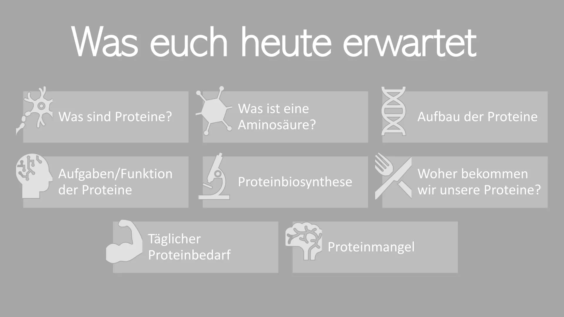 300
Die Proteine
2
Ein Referat von Jana, Sophie, Luca und Leonard the
Was euch heute erwartet
Was ist eine
Aminosäure?
Was sind Proteine?
Au