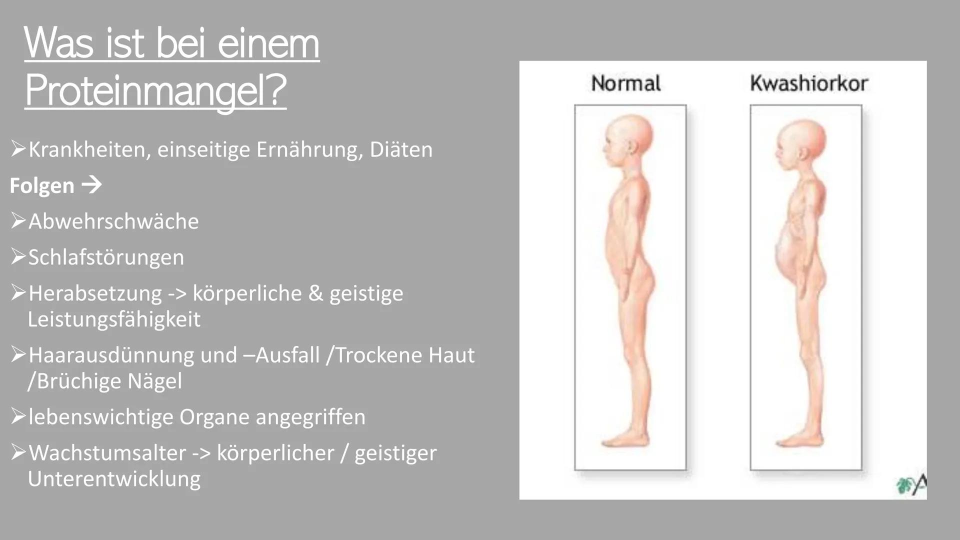 300
Die Proteine
2
Ein Referat von Jana, Sophie, Luca und Leonard the
Was euch heute erwartet
Was ist eine
Aminosäure?
Was sind Proteine?
Au