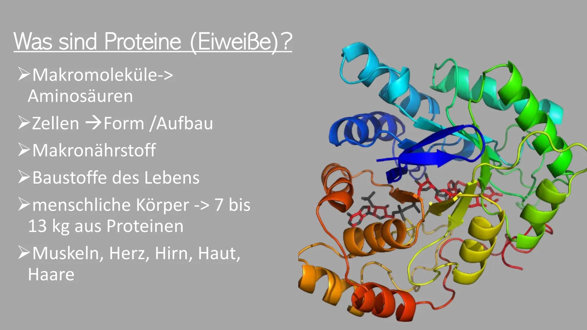 300
Die Proteine
2
Ein Referat von Jana, Sophie, Luca und Leonard the
Was euch heute erwartet
Was ist eine
Aminosäure?
Was sind Proteine?
Au