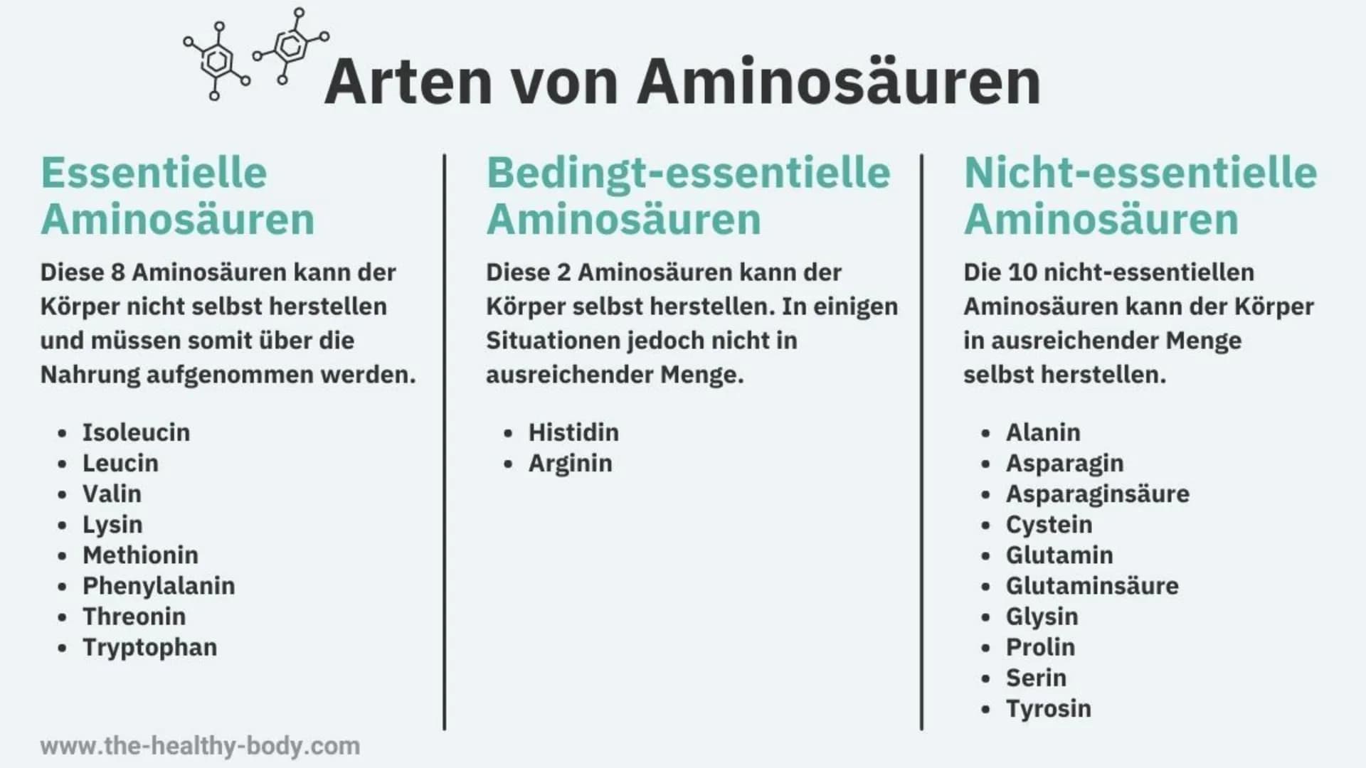 300
Die Proteine
2
Ein Referat von Jana, Sophie, Luca und Leonard the
Was euch heute erwartet
Was ist eine
Aminosäure?
Was sind Proteine?
Au