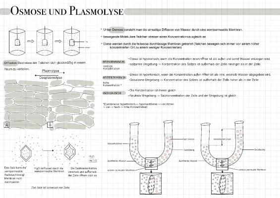 Know Osmose thumbnail