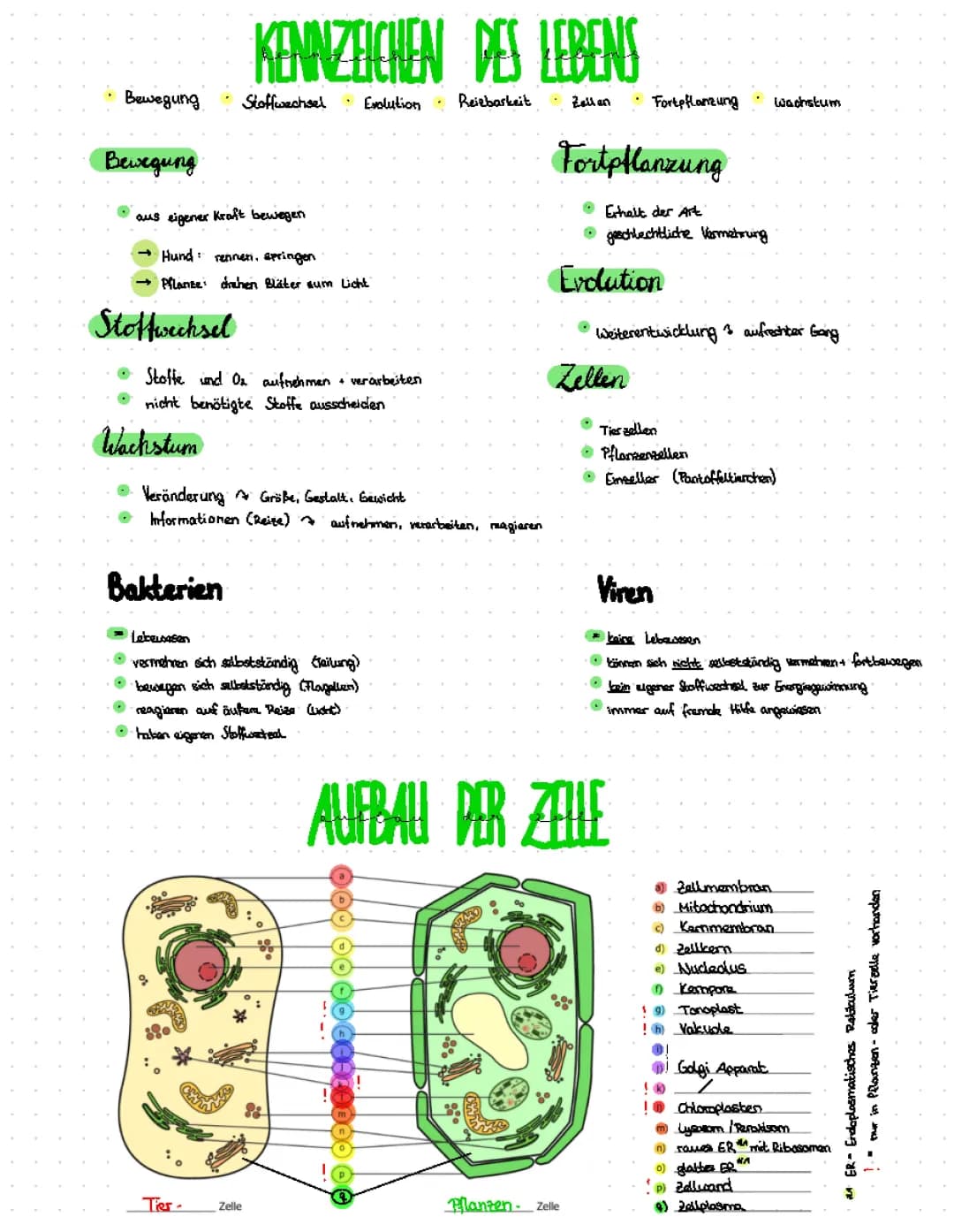 Die Zelle