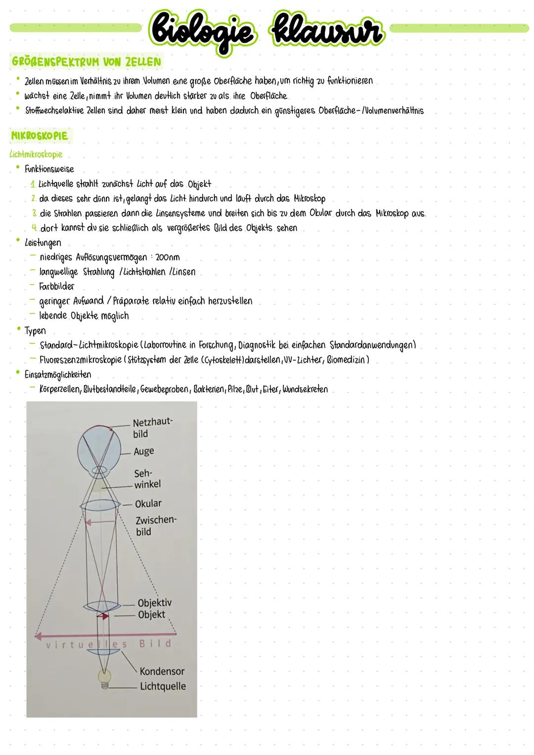 LEBEWESEN
Merkmale des Lebens bzw. Basiskonzept.
• Struktur und Funktionen.
Kompartimentierung
•
• Lebewesen bestehen aus Zellen / Zelle Ein