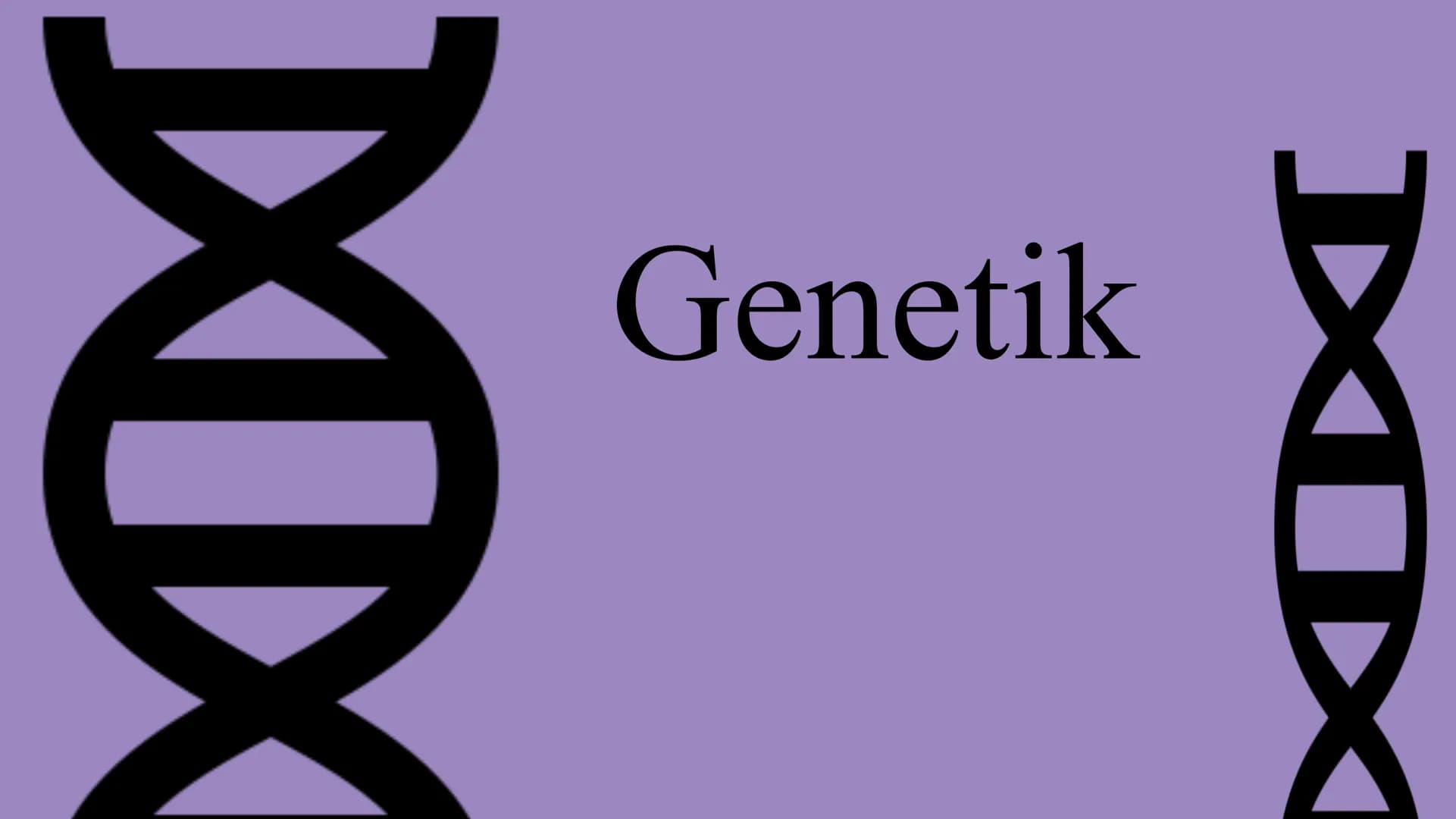 Genetik
XXX
X Feinbau Chromosomen  MAN
2 Einzelstränge: DNA Doppelhelix Seil: abwechselnd
Phosphorsäure,
Zuckerbaustein
Base
Bestandteile DN