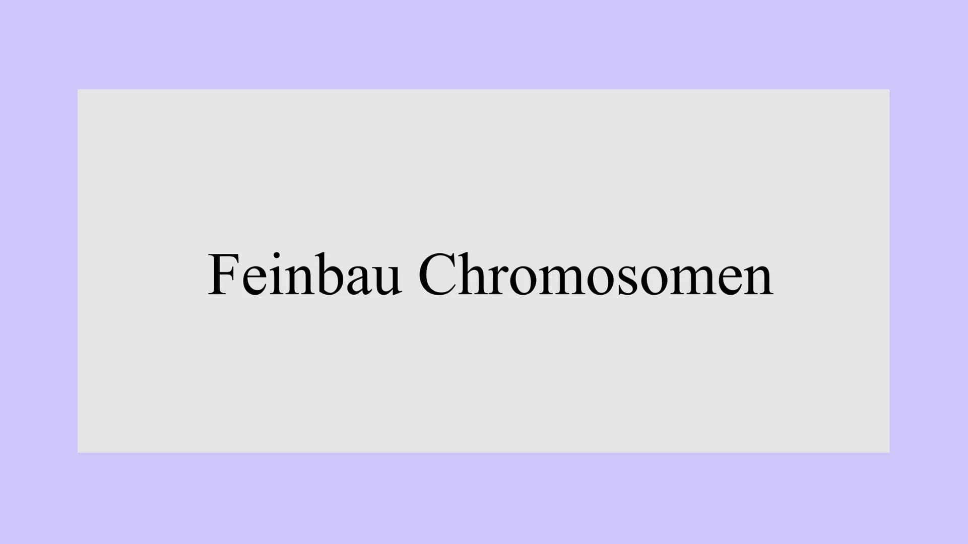 Genetik
XXX
X Feinbau Chromosomen  MAN
2 Einzelstränge: DNA Doppelhelix Seil: abwechselnd
Phosphorsäure,
Zuckerbaustein
Base
Bestandteile DN