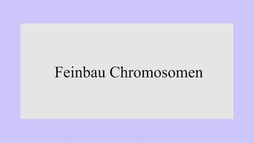 Genetik
XXX
X Feinbau Chromosomen  MAN
2 Einzelstränge: DNA Doppelhelix Seil: abwechselnd
Phosphorsäure,
Zuckerbaustein
Base
Bestandteile DN
