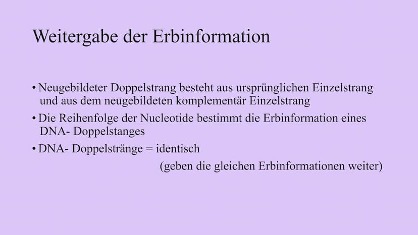 Genetik
XXX
X Feinbau Chromosomen  MAN
2 Einzelstränge: DNA Doppelhelix Seil: abwechselnd
Phosphorsäure,
Zuckerbaustein
Base
Bestandteile DN