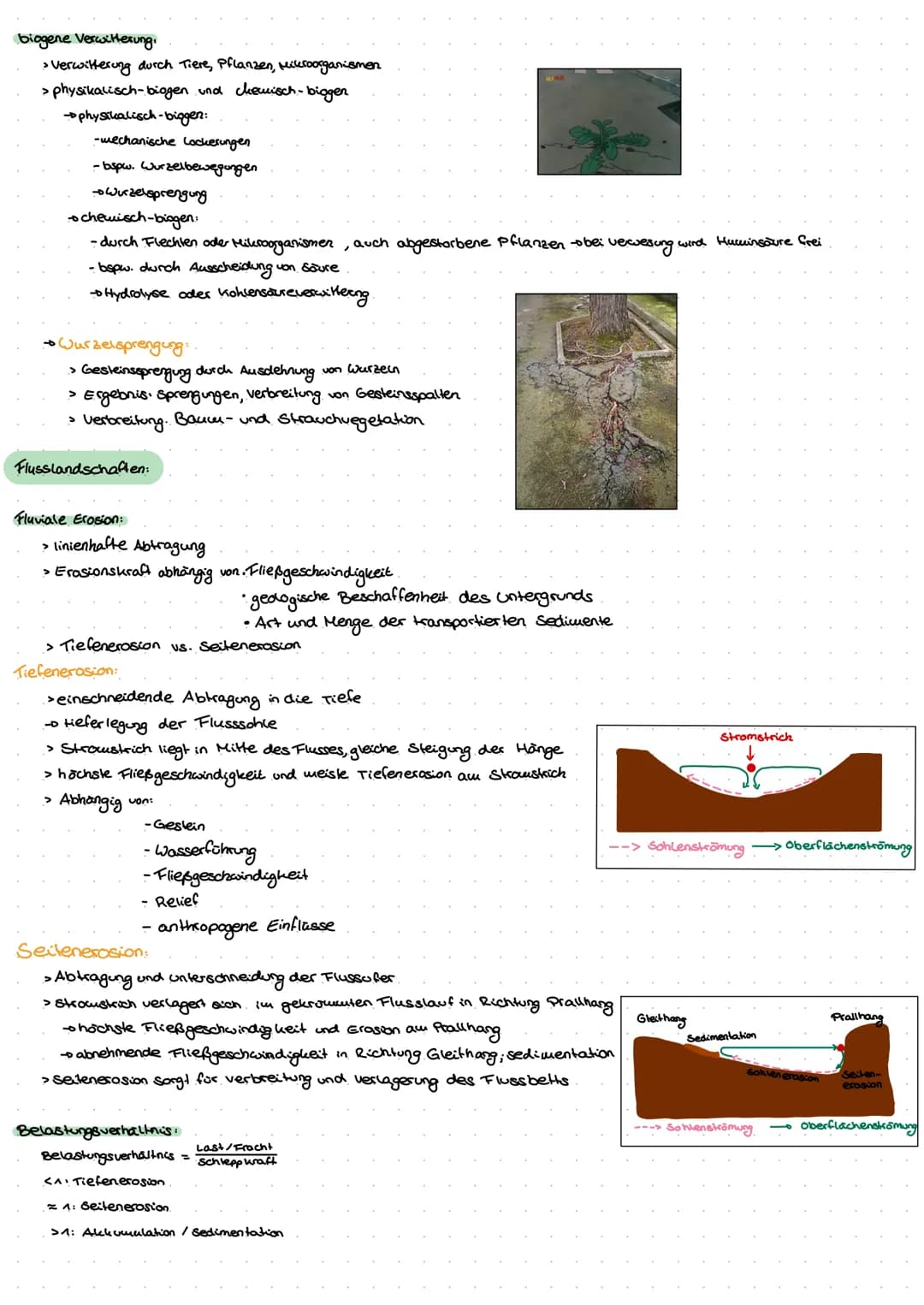 biogene Verwitterung.
> Verwitterung durch Tiere, Pflanzen, Mikroorganismen
> physikalisch-biogen und chemisch-biogen
→→ physikalisch-biggen
