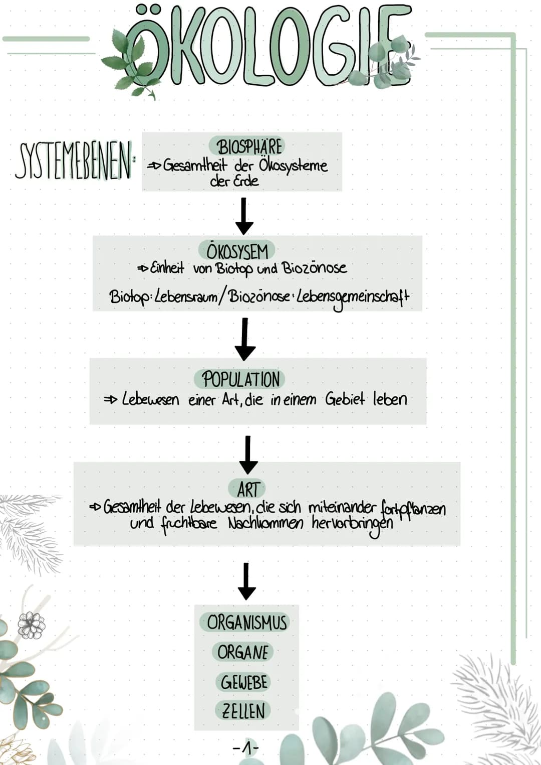 ÖKOLOGIE
BIOSPHÄRE
Gesamtheit der Ökosysteme
der Erde
SYSTEMEBENEN
ÖKOSYSEM
→ Einheit von Biotop und Biozonose
Biotop: Lebensraum/Biozonose 