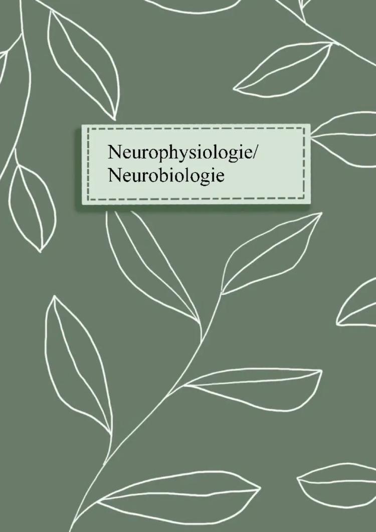 Know Bio Abi GK 22 Neurobiologie/ -Physiologie  thumbnail