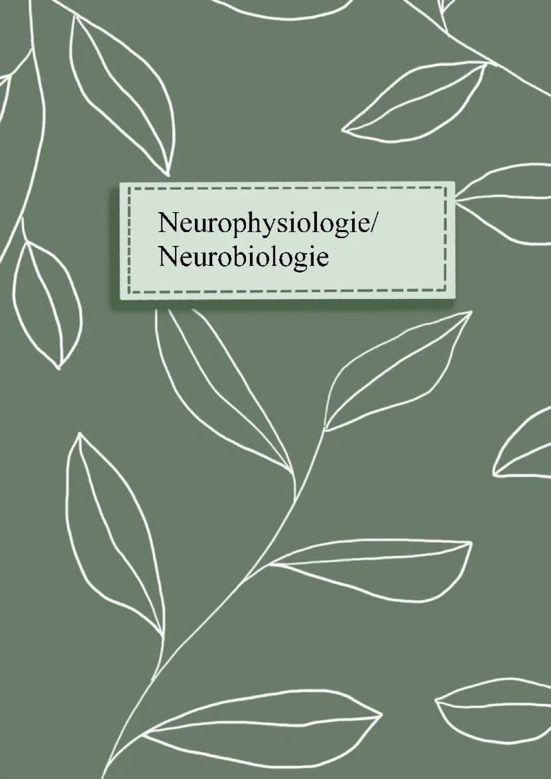 Bio Abi GK 22 Neurobiologie/ -Physiologie 