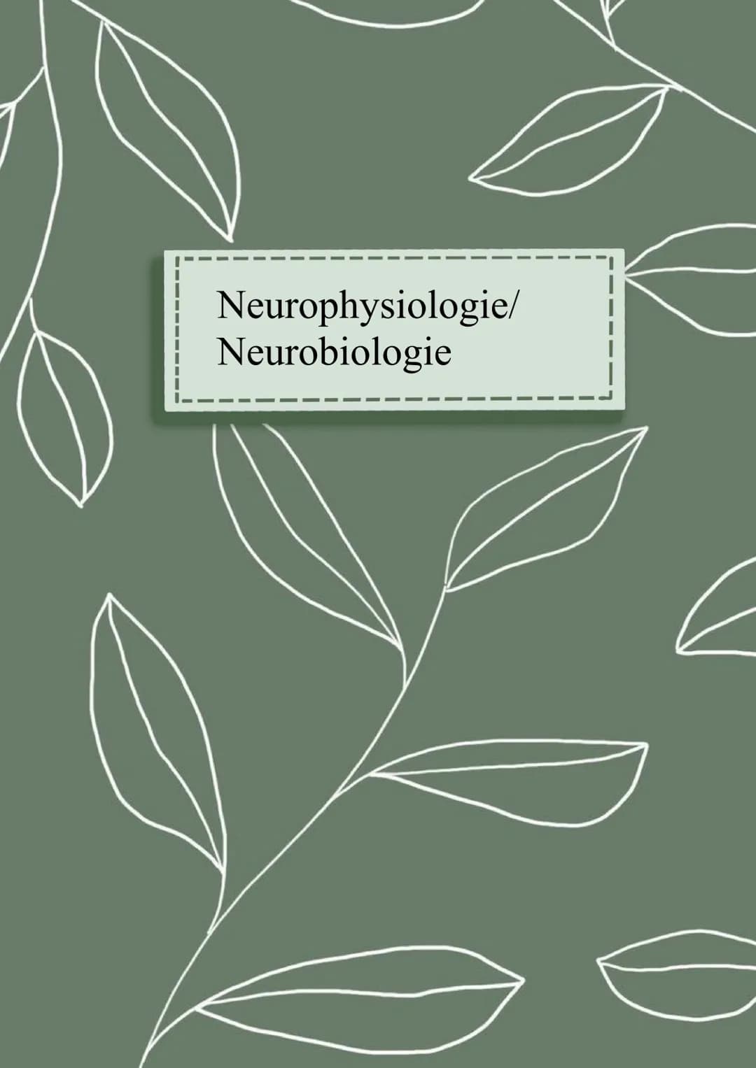 Neurophysiologie/
Neurobiologie Neurophysiologie / Neurobiologie
Aufbau & Funktion von Neuronen
*Funktion
Dendrit
Zellkörper
Zellkern
Axon
A