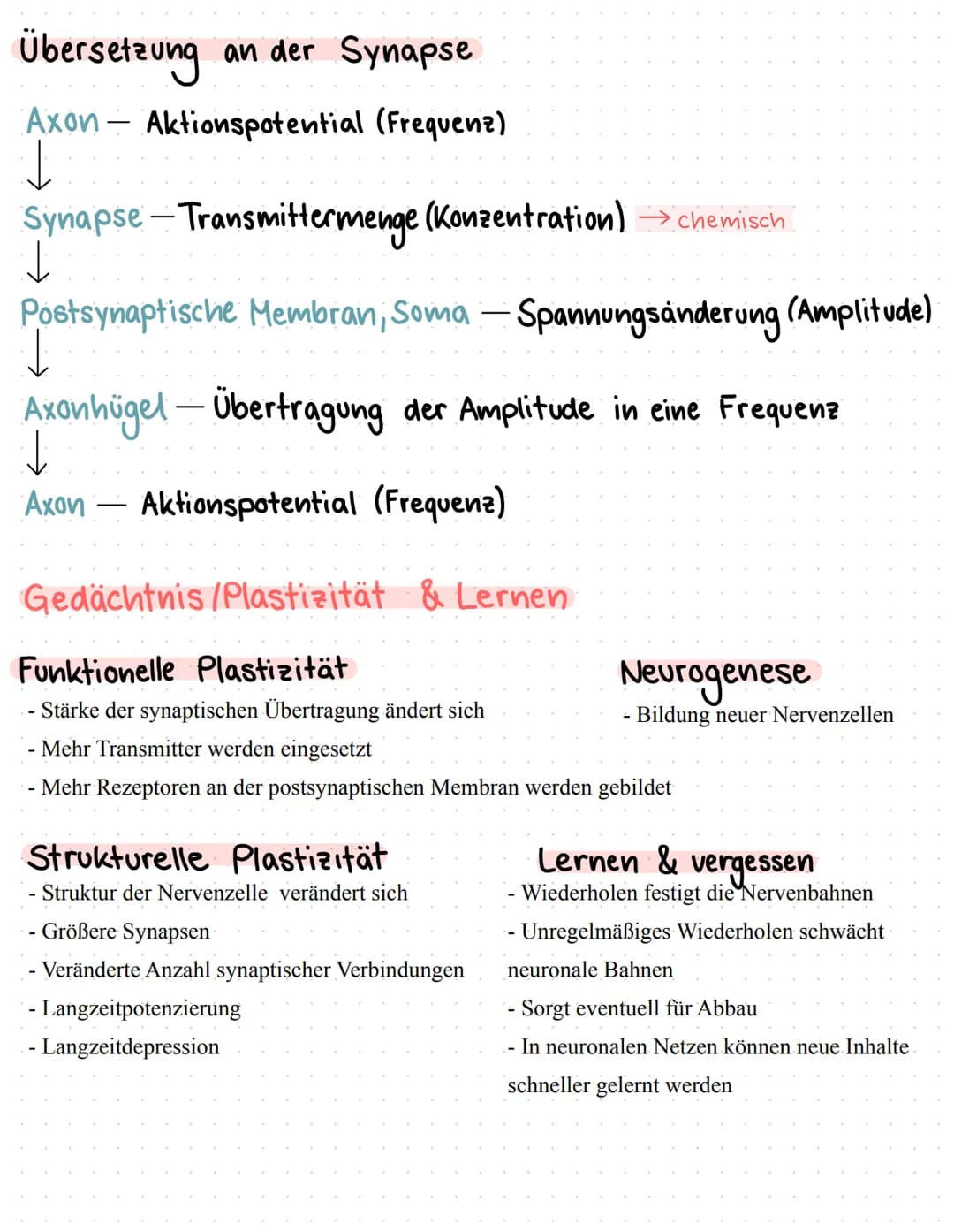 Neurophysiologie/
Neurobiologie Neurophysiologie / Neurobiologie
Aufbau & Funktion von Neuronen
*Funktion
Dendrit
Zellkörper
Zellkern
Axon
A