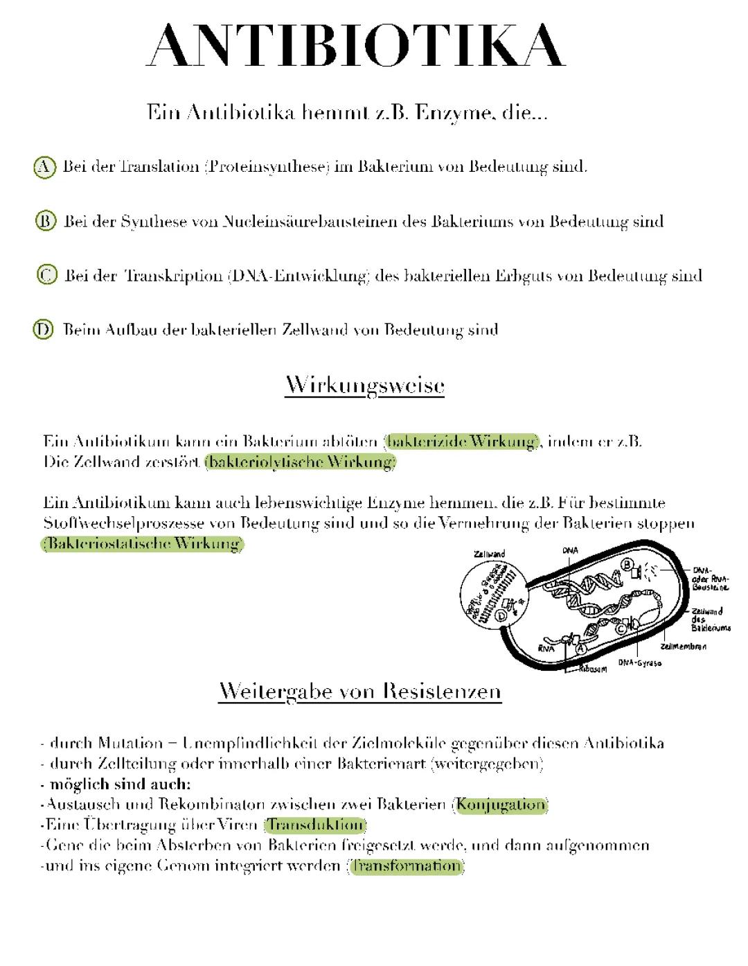 Antibiotika - Wichtige Informationen und Zusammenfassung