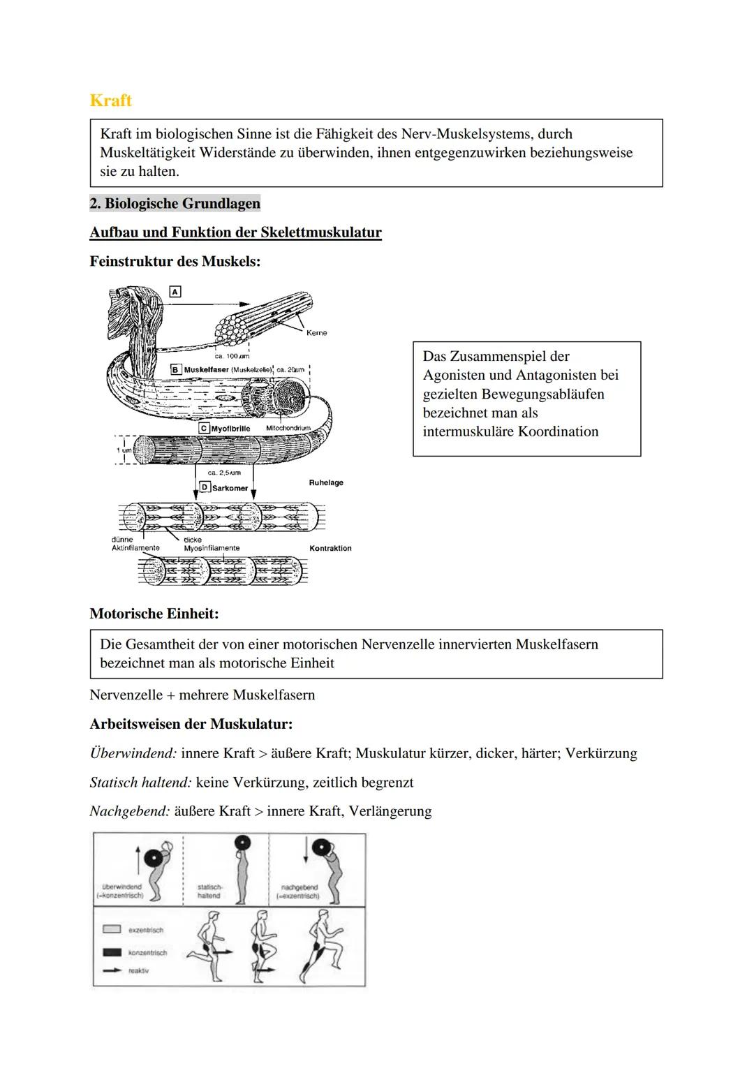 Sport Zusammenfassung
Trainingslehre
Allgemeine Gesetzmäßigkeiten des Trainings
1. Qualitätsgesetz (physiologisches Gesetz)
Spezifische Reiz