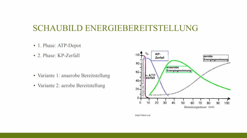 24
61
62
63
59 G
C
ENERGIEBEREITSTELLUNG 1.
2.
3.
GLIEDER tranch
triathlch
Definition:
Arten und
Anwendur
NG GROUP
BER
SARR
B
BG GROUP
Batri