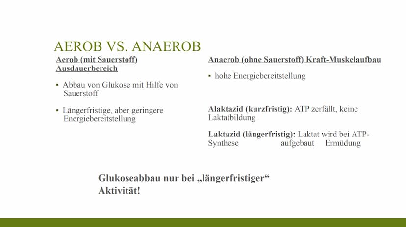 24
61
62
63
59 G
C
ENERGIEBEREITSTELLUNG 1.
2.
3.
GLIEDER tranch
triathlch
Definition:
Arten und
Anwendur
NG GROUP
BER
SARR
B
BG GROUP
Batri