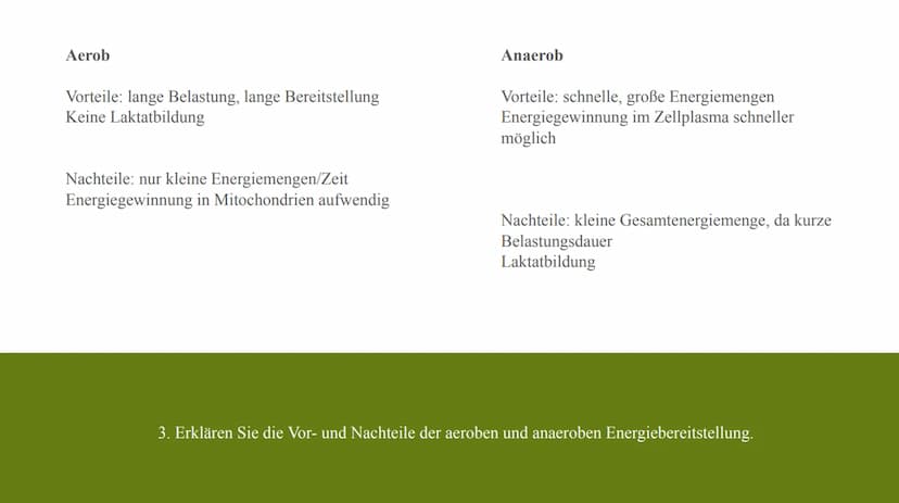 24
61
62
63
59 G
C
ENERGIEBEREITSTELLUNG 1.
2.
3.
GLIEDER tranch
triathlch
Definition:
Arten und
Anwendur
NG GROUP
BER
SARR
B
BG GROUP
Batri