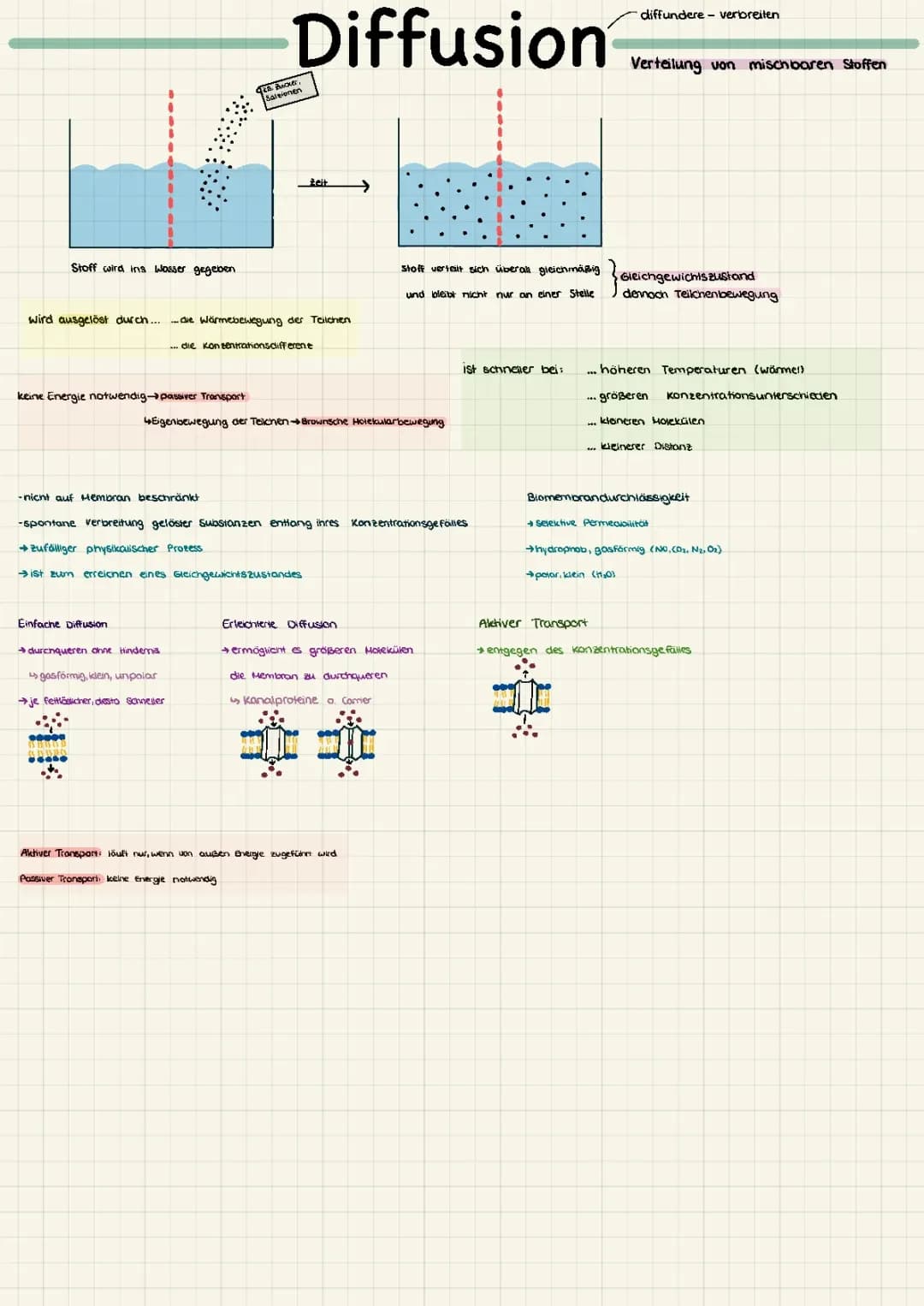 Diffusion und Osmose 