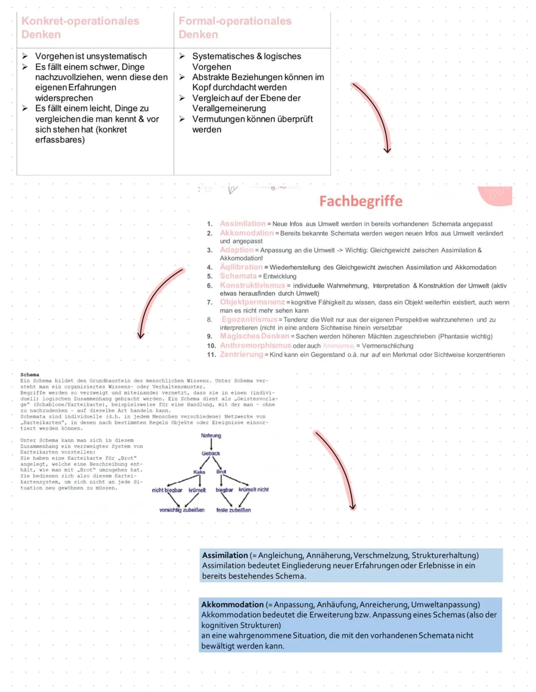 Konstruktivistisches Lernverständnis
Kognitive Entwicklung
Adaption
•Anpassung an die Umwelt
•Wichtig: Ein herschendes
Gleichgewicht zwische