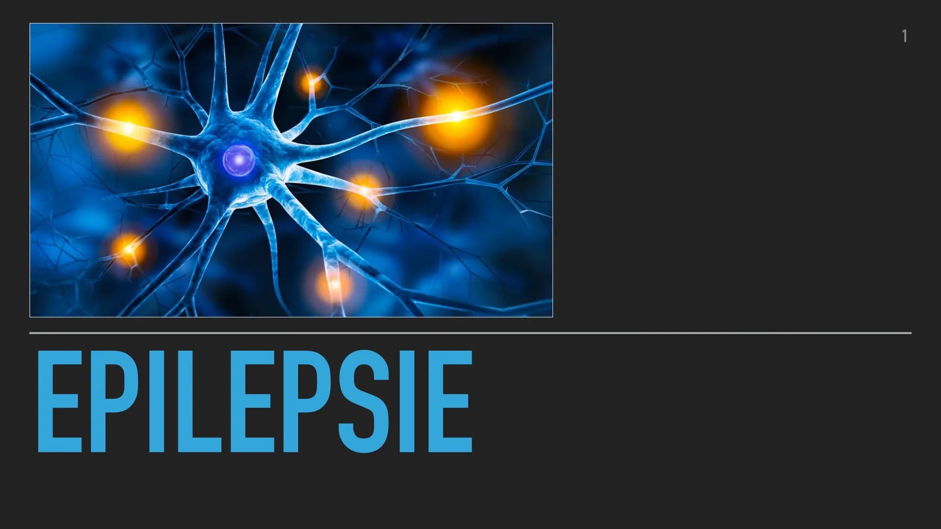 EPILEPSIE
1 EPILEPSIE - EPILEPTISCHER ANFALL
GLIEDERUNG
▸ Definition
▸ Epilepsie oder epileptischer Anfall?
▶ Fakten
▶ Ursachen von Epilepsi