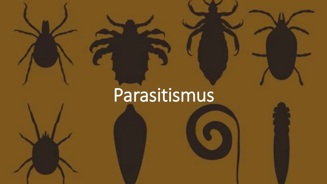 Parasitismus