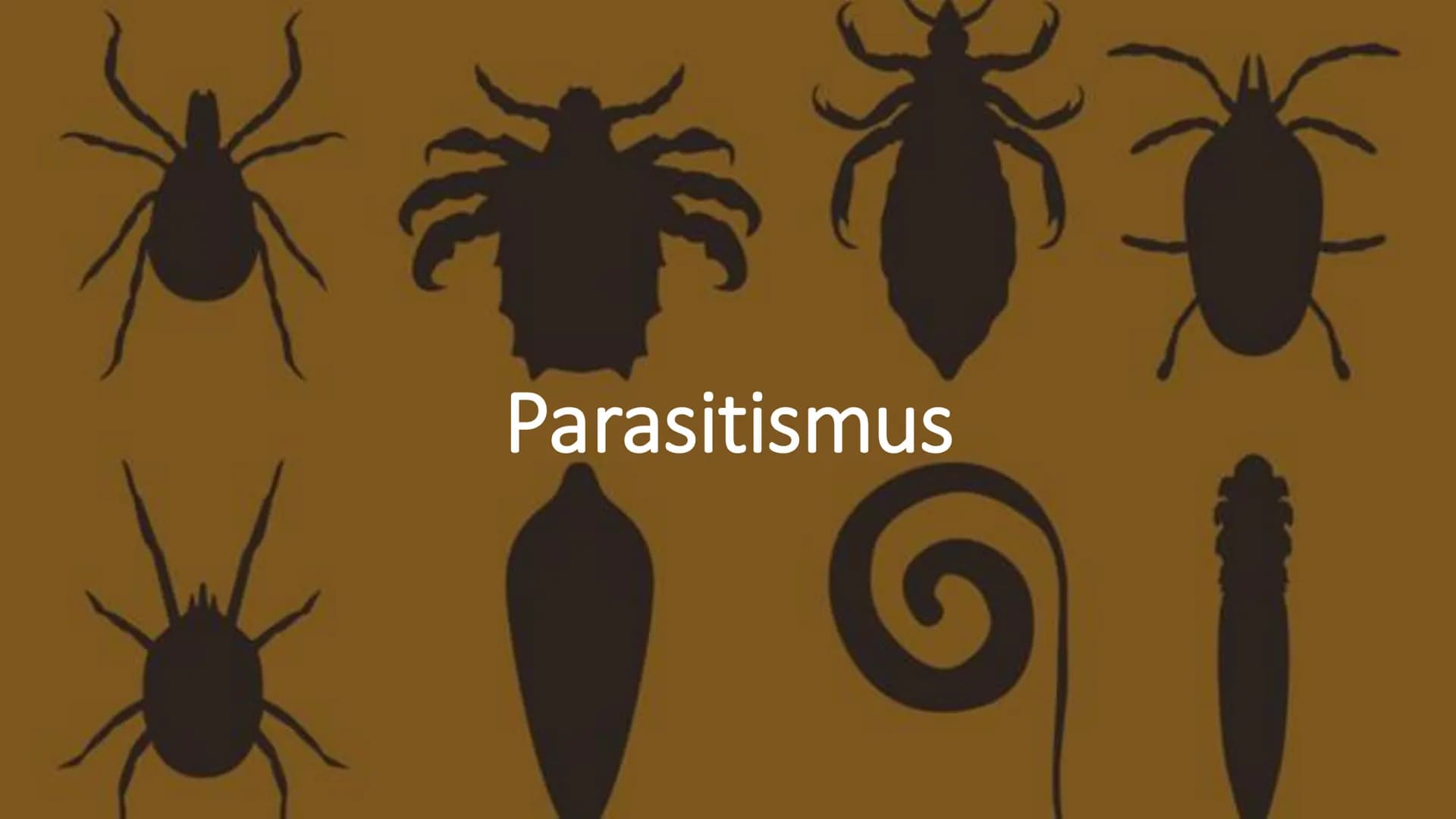 Parasitismus Allgemeines
Parasitenarten
Arten des Wirts
• Folgen für den Wirt
• Übertragung
●
Quellen
●
●
Inhaltsverzeichnis 1
Ook
Allgemein