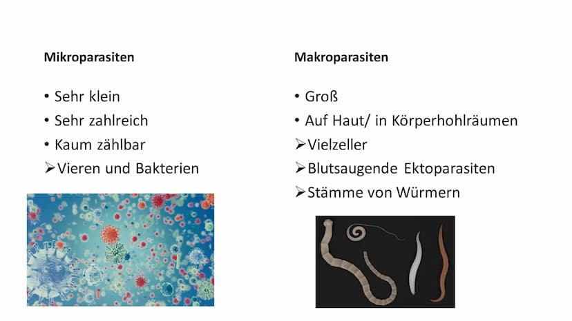 Parasitismus Allgemeines
Parasitenarten
Arten des Wirts
• Folgen für den Wirt
• Übertragung
●
Quellen
●
●
Inhaltsverzeichnis 1
Ook
Allgemein