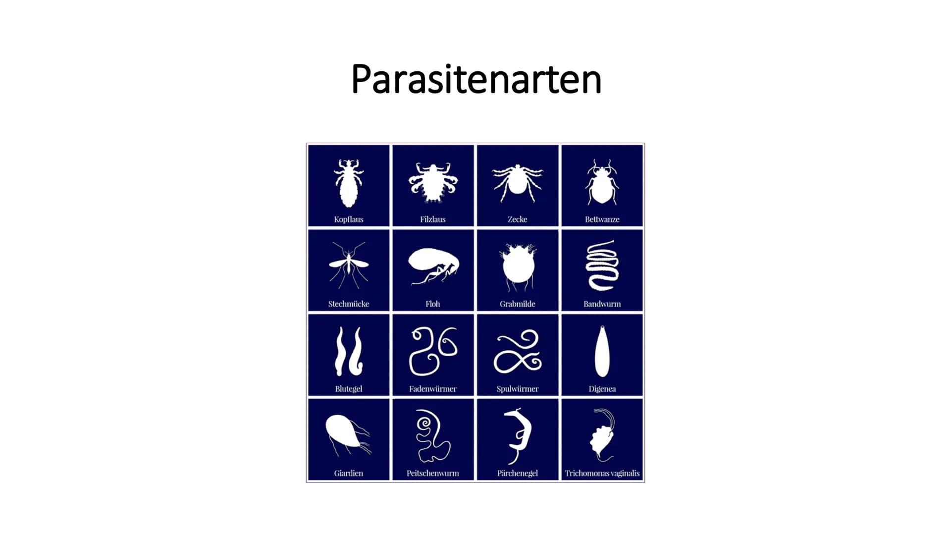 Parasitismus Allgemeines
Parasitenarten
Arten des Wirts
• Folgen für den Wirt
• Übertragung
●
Quellen
●
●
Inhaltsverzeichnis 1
Ook
Allgemein