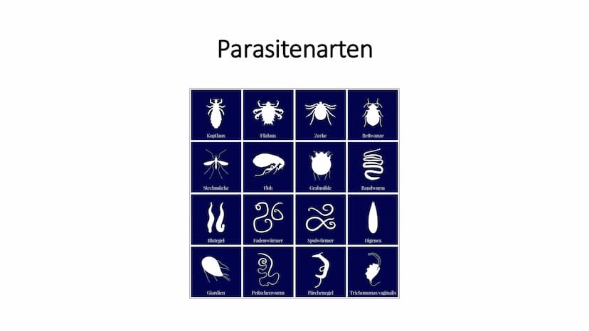 Parasitismus Allgemeines
Parasitenarten
Arten des Wirts
• Folgen für den Wirt
• Übertragung
●
Quellen
●
●
Inhaltsverzeichnis 1
Ook
Allgemein