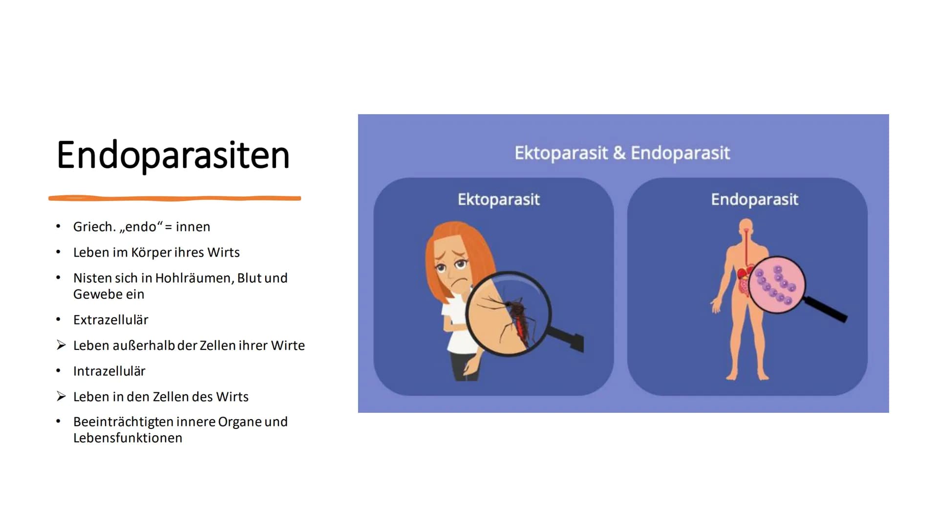 Parasitismus Allgemeines
Parasitenarten
Arten des Wirts
• Folgen für den Wirt
• Übertragung
●
Quellen
●
●
Inhaltsverzeichnis 1
Ook
Allgemein