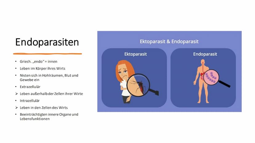 Parasitismus Allgemeines
Parasitenarten
Arten des Wirts
• Folgen für den Wirt
• Übertragung
●
Quellen
●
●
Inhaltsverzeichnis 1
Ook
Allgemein