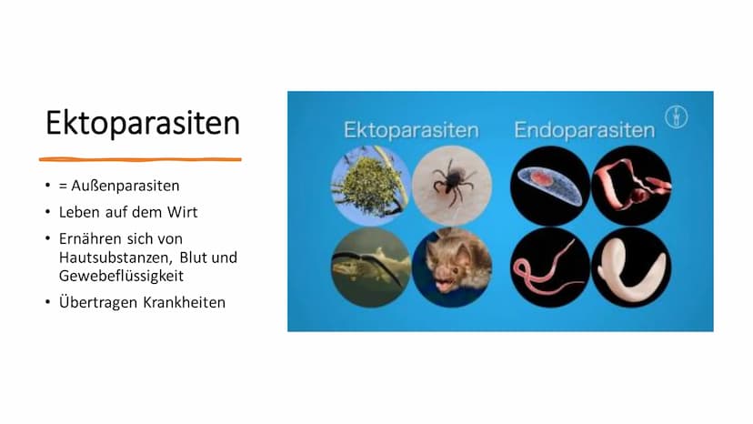 Parasitismus Allgemeines
Parasitenarten
Arten des Wirts
• Folgen für den Wirt
• Übertragung
●
Quellen
●
●
Inhaltsverzeichnis 1
Ook
Allgemein