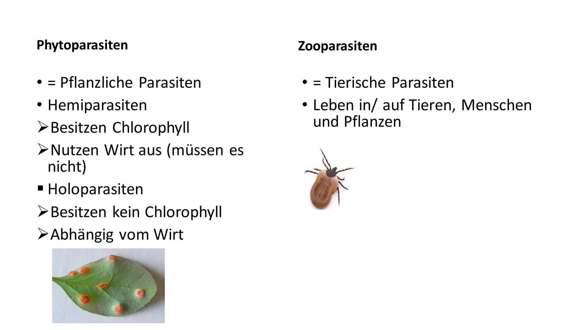 Parasitismus Allgemeines
Parasitenarten
Arten des Wirts
• Folgen für den Wirt
• Übertragung
●
Quellen
●
●
Inhaltsverzeichnis 1
Ook
Allgemein